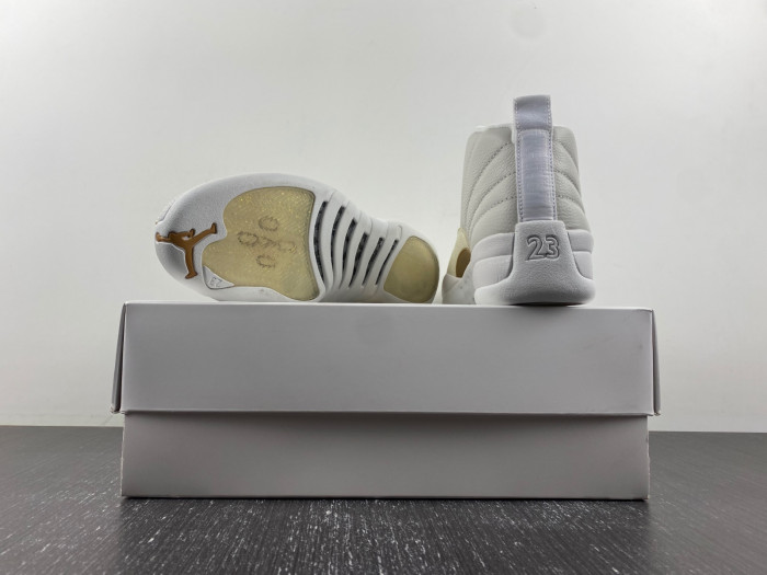 air jordan 12 aj120221