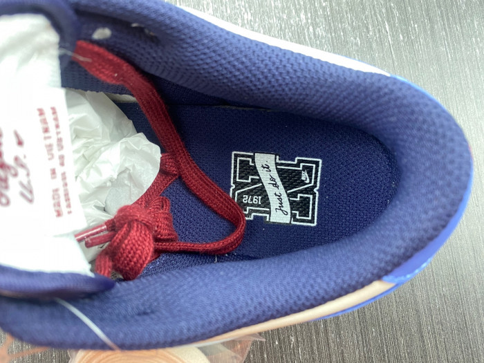 nike dunk low ndl01171