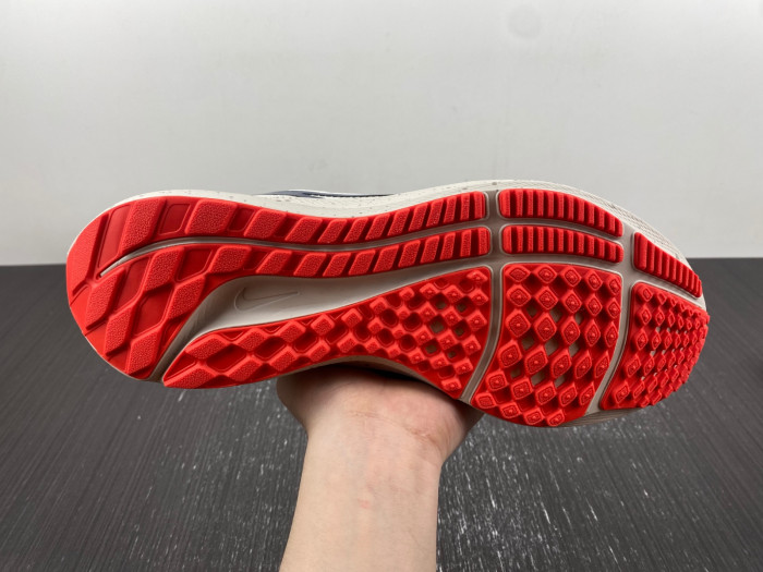 air zoom pegasus az0824