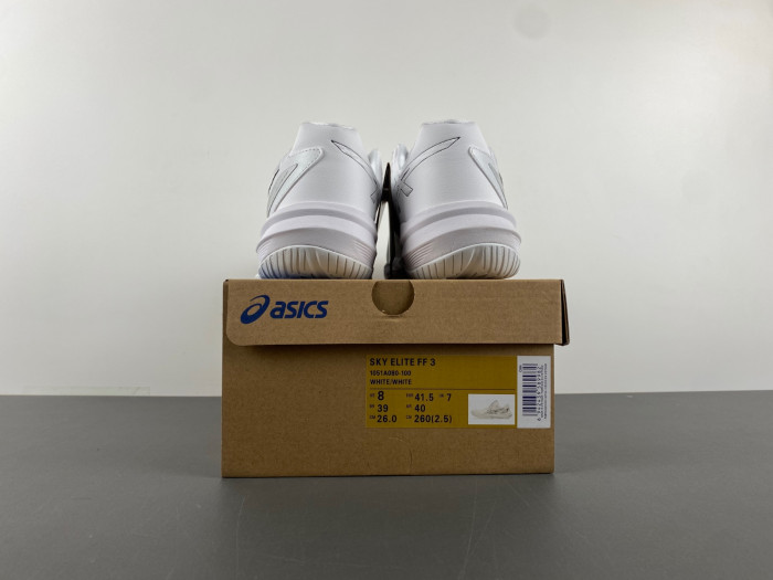 As1cs sneaker 1051a080-100